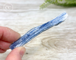 Blue Kyanite #11