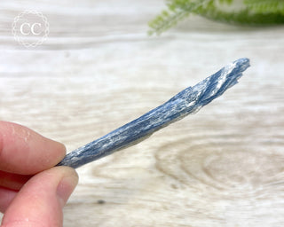 Blue Kyanite #11