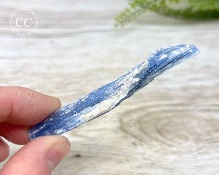 Blue Kyanite #11