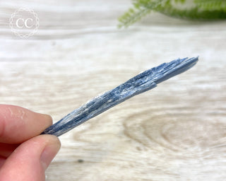 Blue Kyanite #11