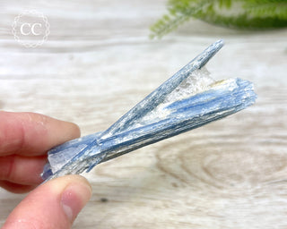Blue Kyanite & Quartz #12