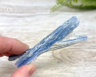 Blue Kyanite & Quartz #12