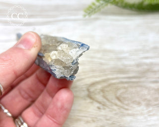 Blue Kyanite & Quartz #1