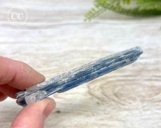 Blue Kyanite & Quartz #12