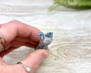 Blue Kyanite & Quartz #12