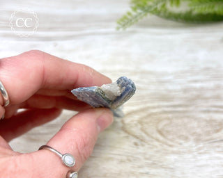 Blue Kyanite & Quartz #12