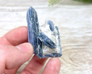 Blue Kyanite & Quartz #14