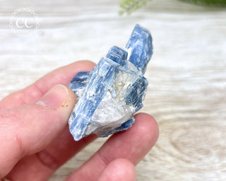 Blue Kyanite & Quartz #14