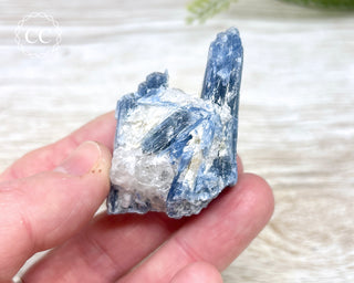 Blue Kyanite & Quartz #14