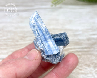 Blue Kyanite & Quartz #14