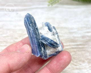 Blue Kyanite & Quartz #14