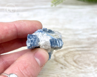 Blue Kyanite & Quartz #14