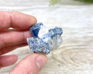 Blue Kyanite & Quartz #14