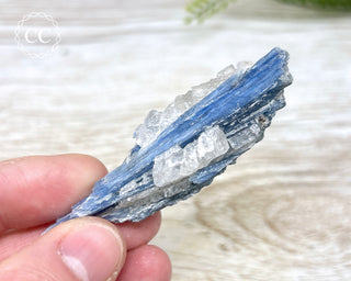 Blue Kyanite & Quartz #15