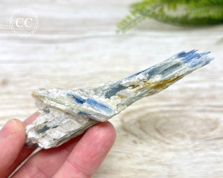 Blue Kyanite & Quartz #2