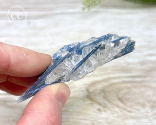 Blue Kyanite & Quartz #15
