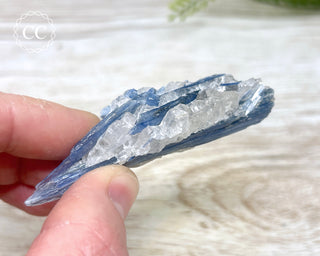 Blue Kyanite & Quartz #15