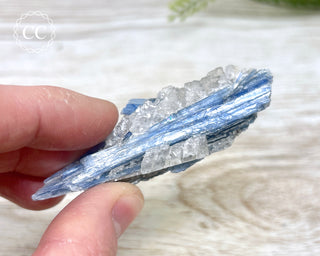 Blue Kyanite & Quartz #15