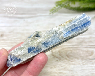 Blue Kyanite & Quartz #2