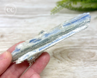 Blue Kyanite & Quartz #2