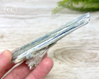 Blue Kyanite & Quartz #2