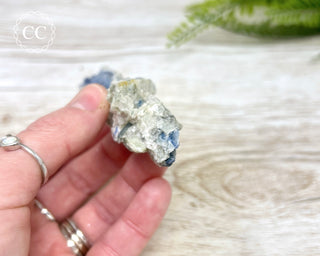 Blue Kyanite & Quartz #2