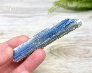 Blue Kyanite & Quartz #3