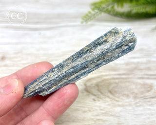 Blue Kyanite & Quartz #3