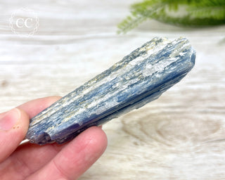 Blue Kyanite & Quartz #3