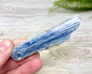 Blue Kyanite & Quartz #3