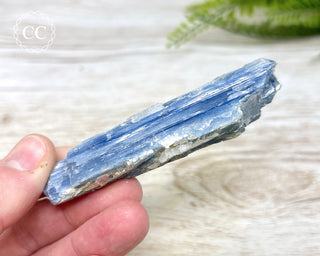 Blue Kyanite & Quartz #3