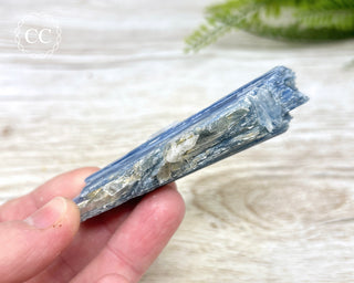Blue Kyanite & Quartz #3