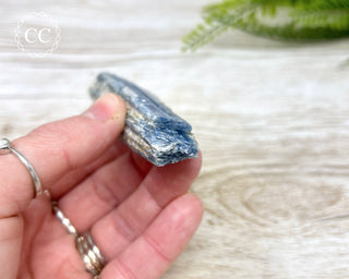 Blue Kyanite & Quartz #3