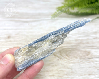 Blue Kyanite & Quartz #1