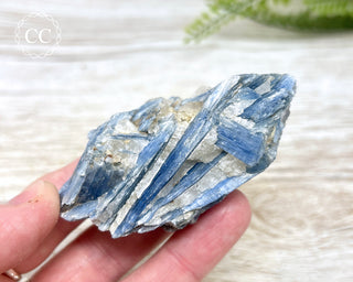 Blue Kyanite & Quartz #4