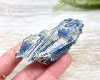 Blue Kyanite & Quartz #4