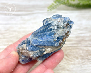 Blue Kyanite & Quartz #4