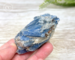 Blue Kyanite & Quartz #4