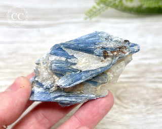 Blue Kyanite & Quartz #4