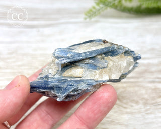 Blue Kyanite & Quartz #4