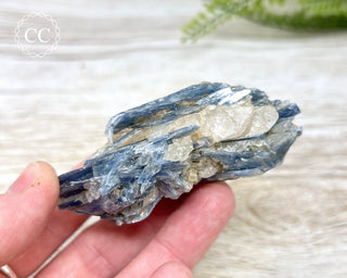 Blue Kyanite & Quartz #4