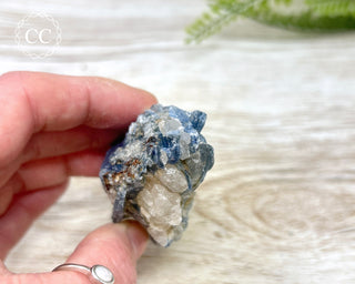 Blue Kyanite & Quartz #4
