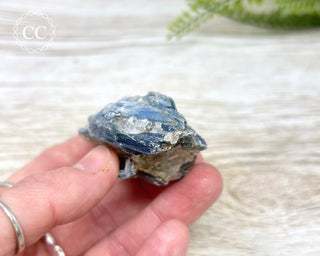 Blue Kyanite & Quartz #4