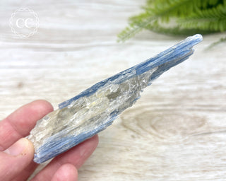 Blue Kyanite & Quartz #1