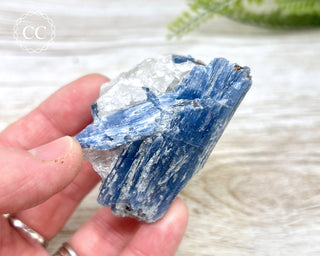 Blue Kyanite & Quartz #5