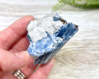 Blue Kyanite & Quartz #5