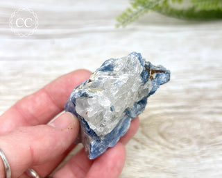 Blue Kyanite & Quartz #5