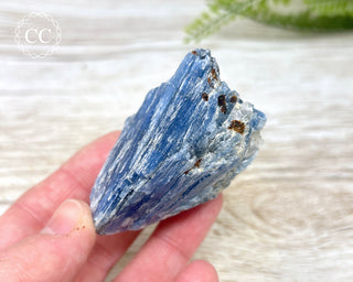 Blue Kyanite & Quartz #5