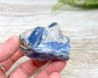 Blue Kyanite & Quartz #5