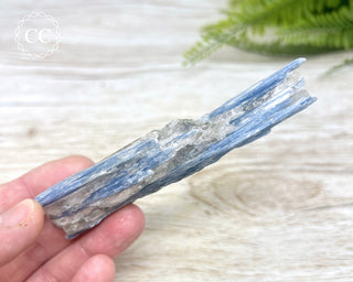 Blue Kyanite & Quartz #1